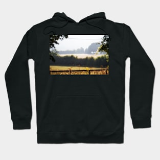 Summer Landscape Hoodie